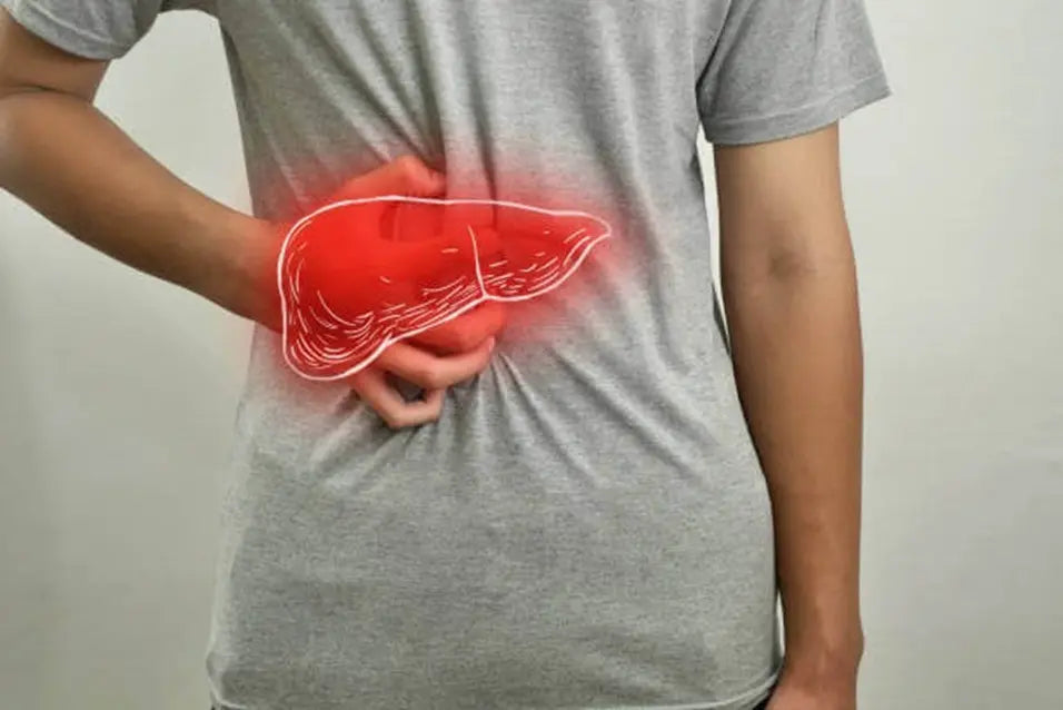 Supplements for Fatty Liver: What Helps and What to Avoid