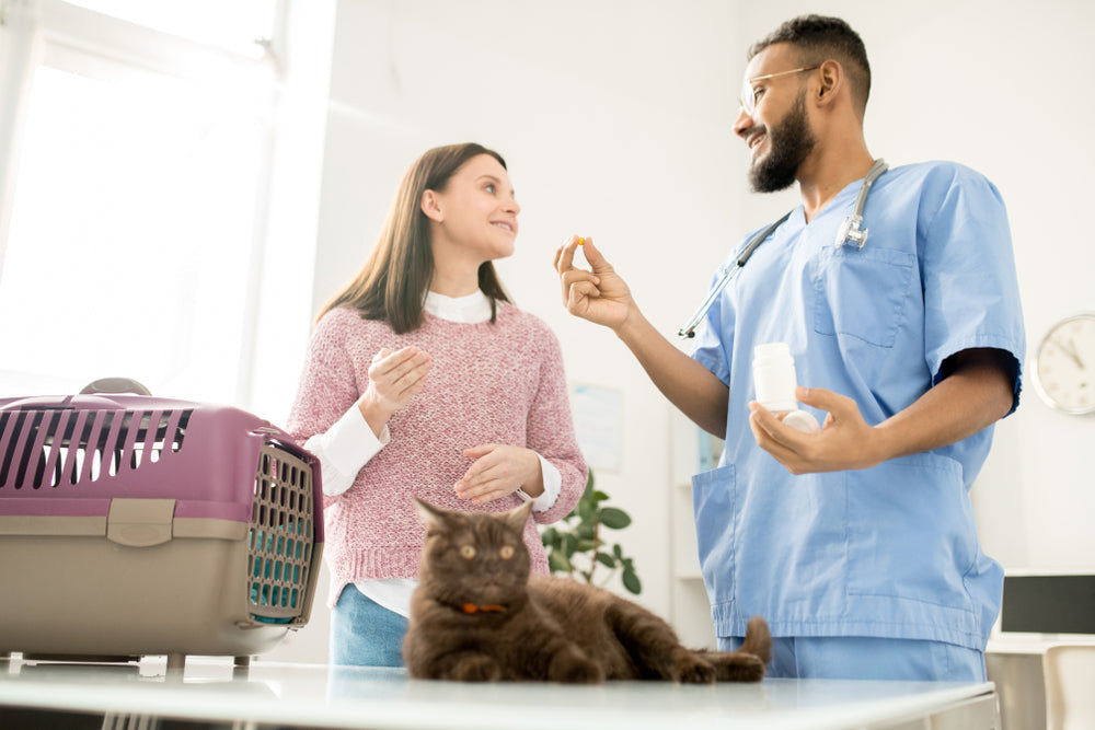 When Your Pet Won't Take Their Medicine: How Compounded Pet Medications Can Help